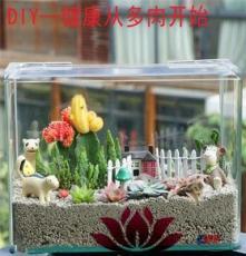 上海清繪園藝養(yǎng)護(hù)服務(wù) 以專(zhuān)業(yè)匠心，守護(hù)城市綠意之美