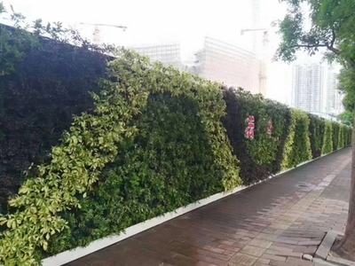 廣州成茂園林綠化 專(zhuān)業(yè)植物租賃與養(yǎng)護(hù)，打造綠色辦公空間